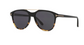 Tom Ford Damien 02 Sunglasses